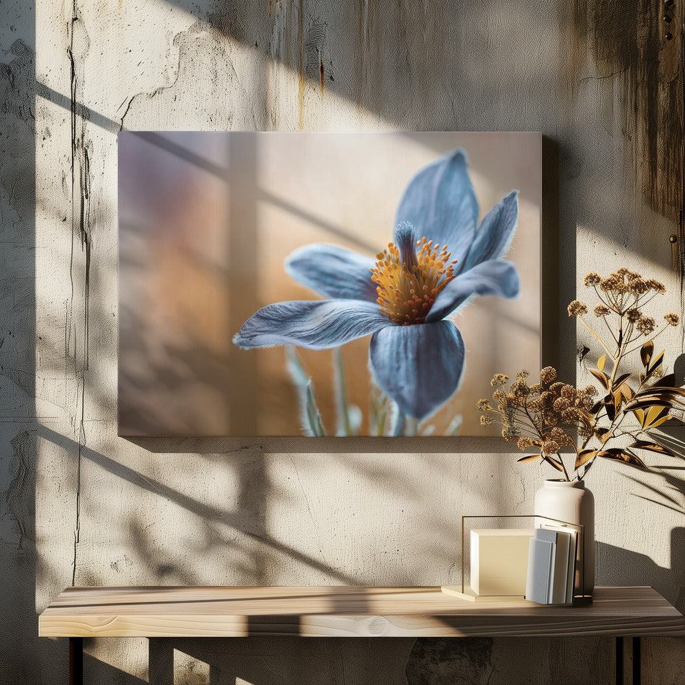 Pasque | Canvas