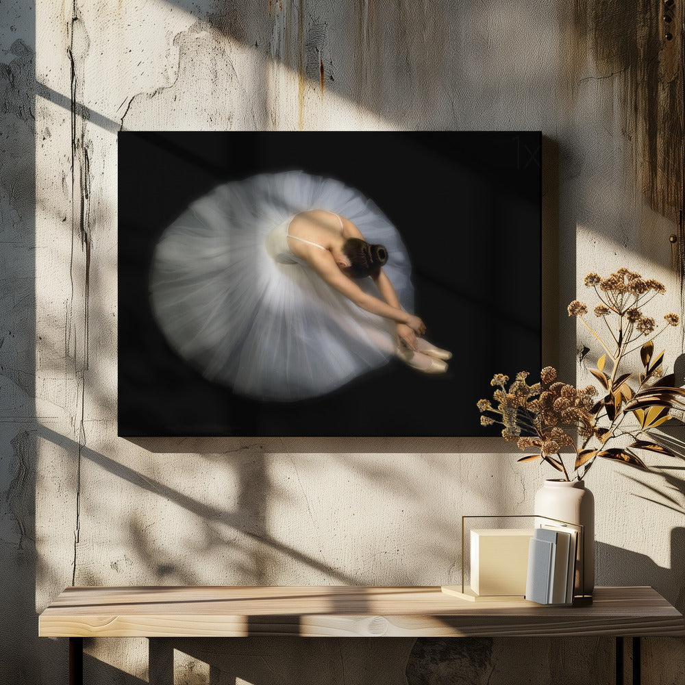 Elegance | Canvas