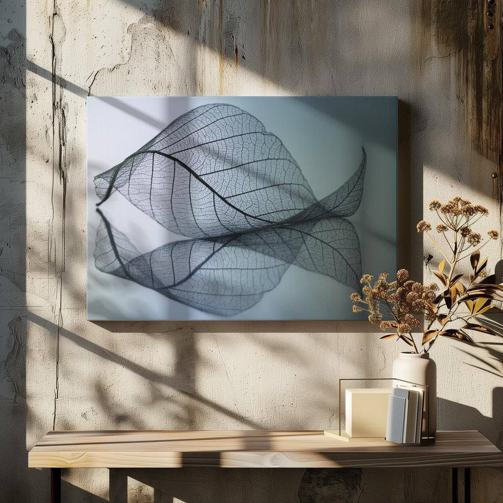 Curvaceousness | Canvas