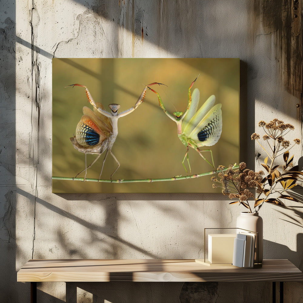 Show Time | Canvas