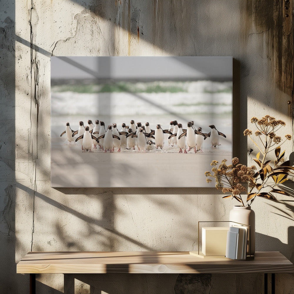 Desembarco | Canvas