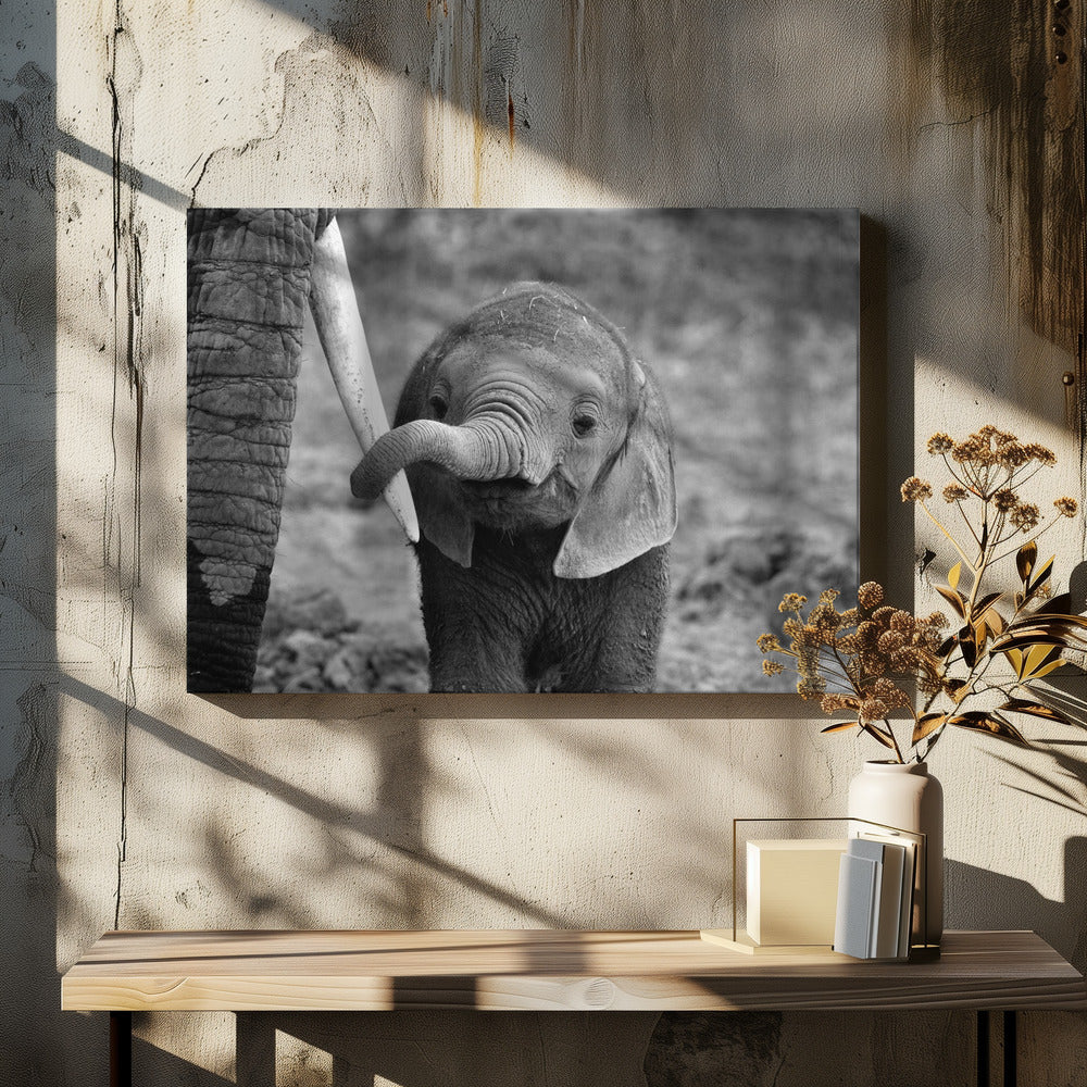 Close | Canvas
