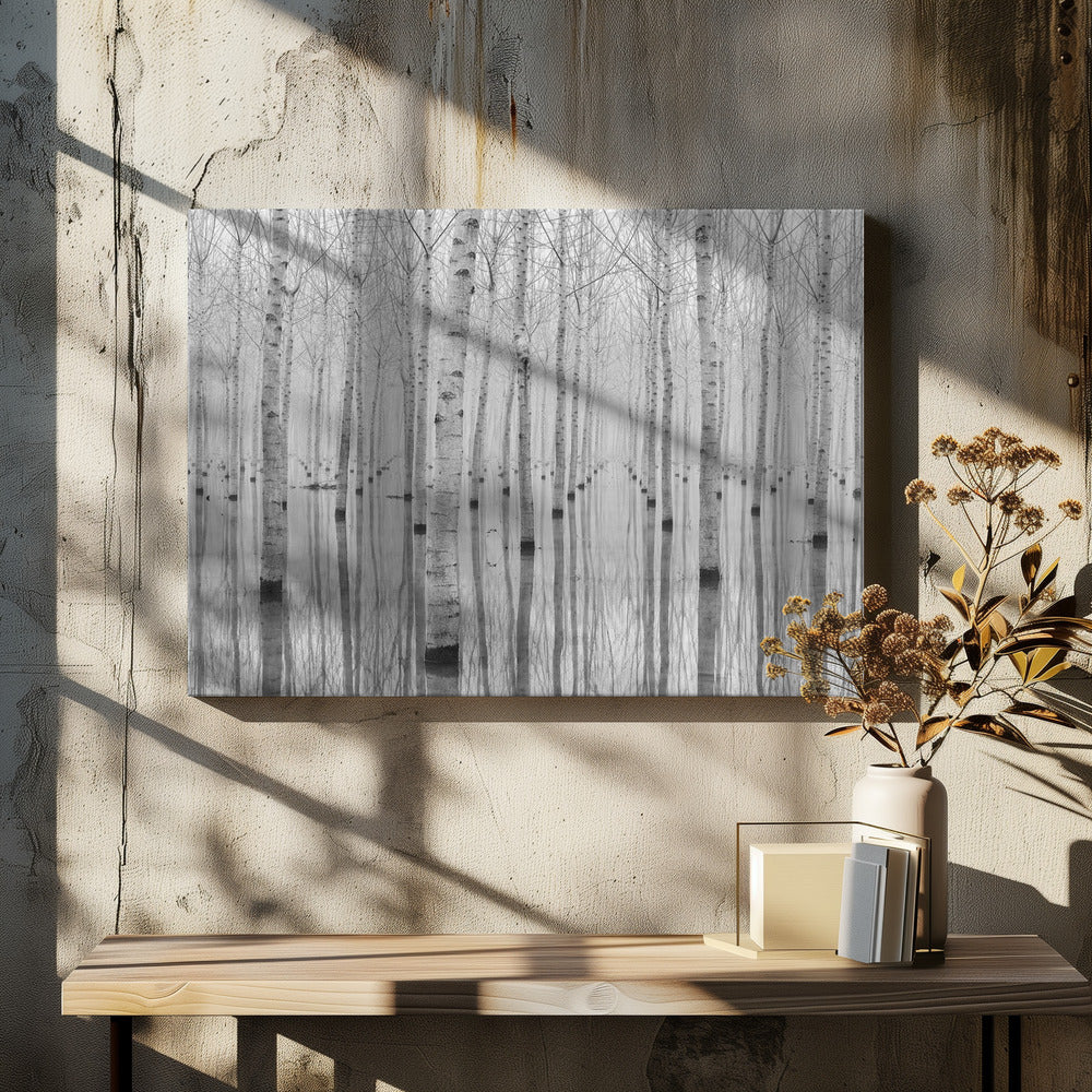 Novembre 2014 | Canvas