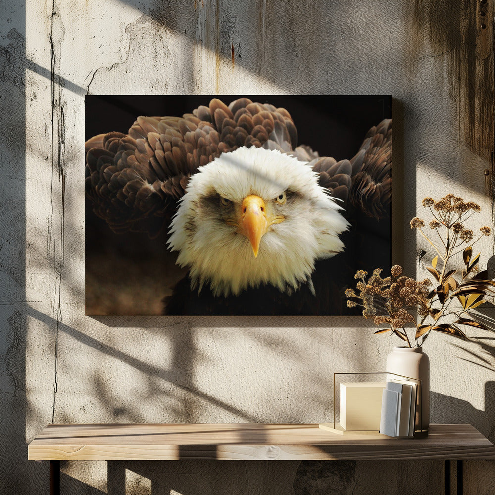 The Judge | Canvas