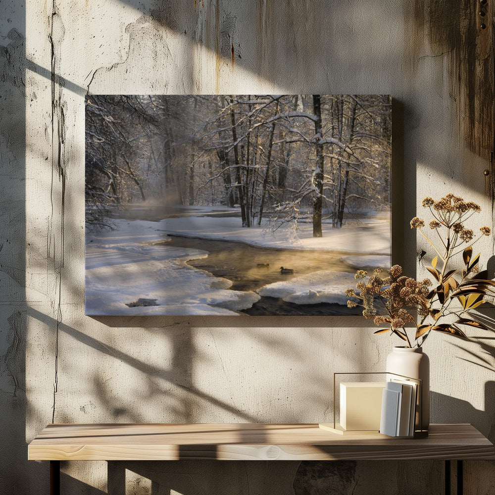 The first light | Canvas