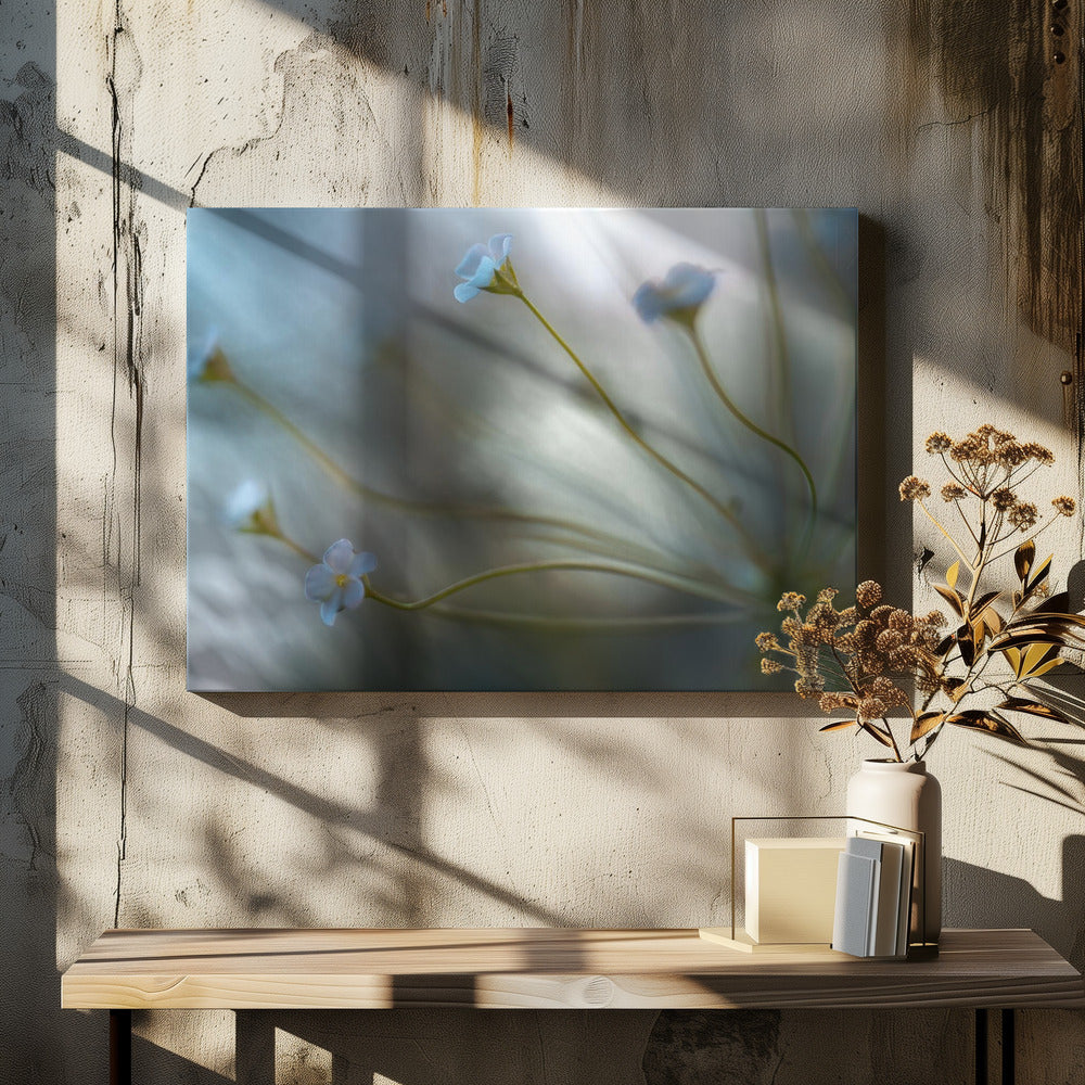 Jasmine | Canvas