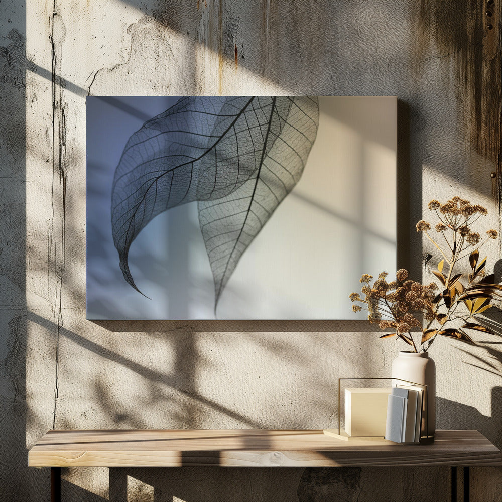 Cavatina | Canvas