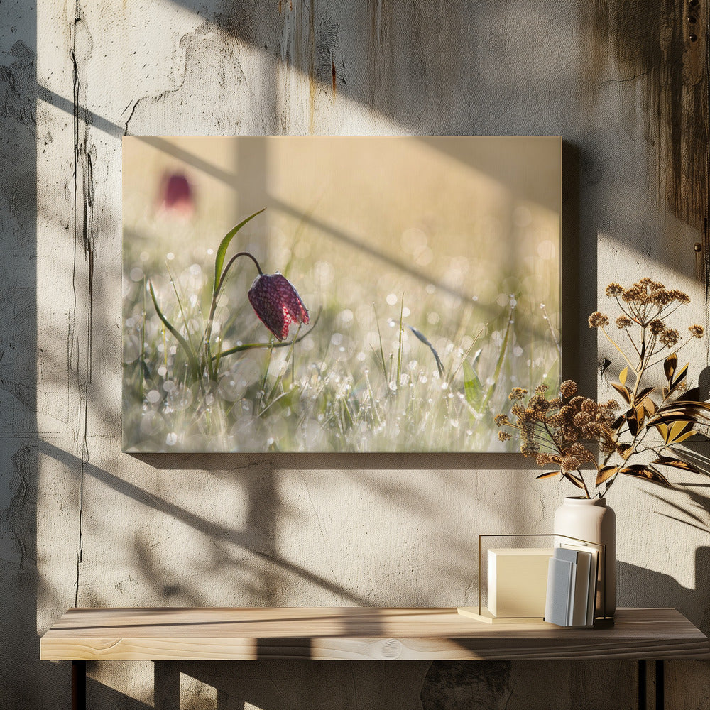 Morningdew | Canvas
