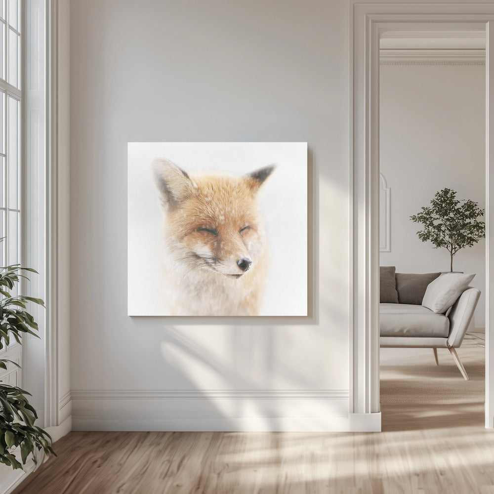 Satisfied | Canvas