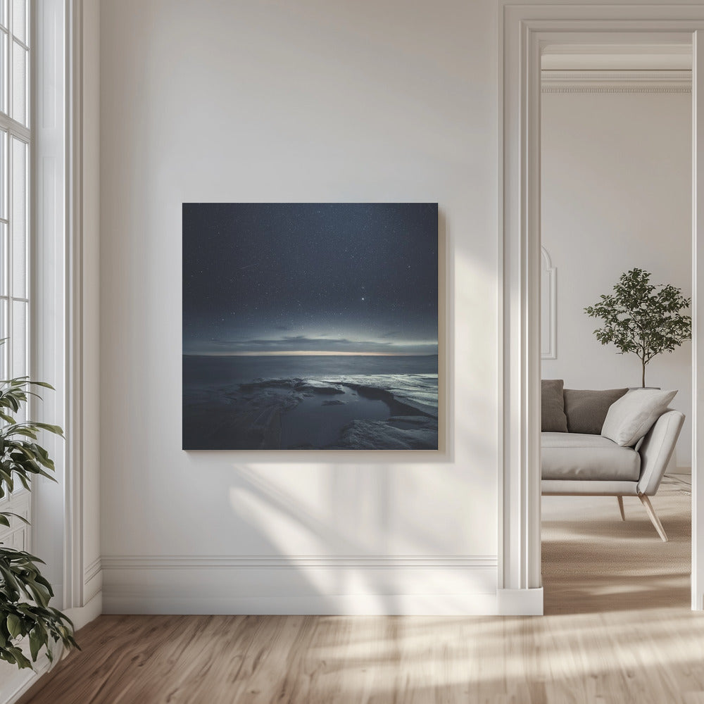 Untitled | Canvas