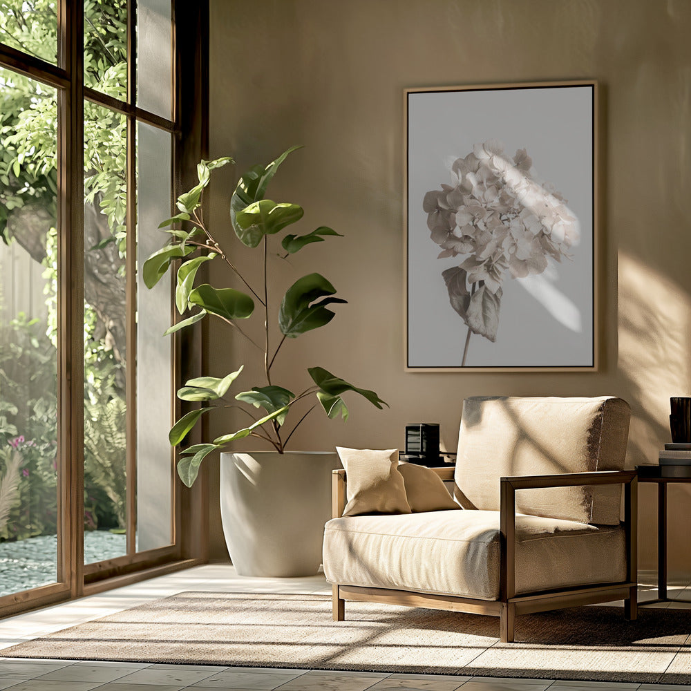 Beige dried flower | Poster