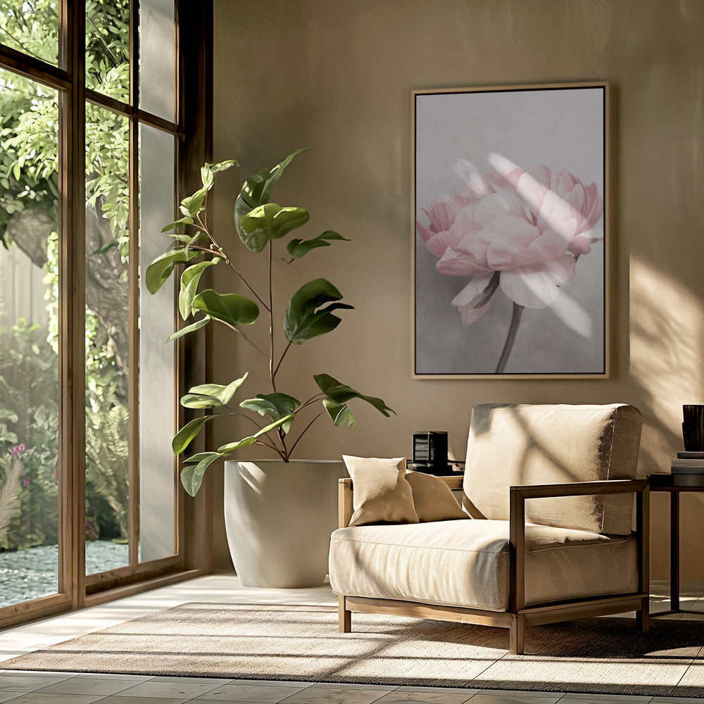 Peony | Poster