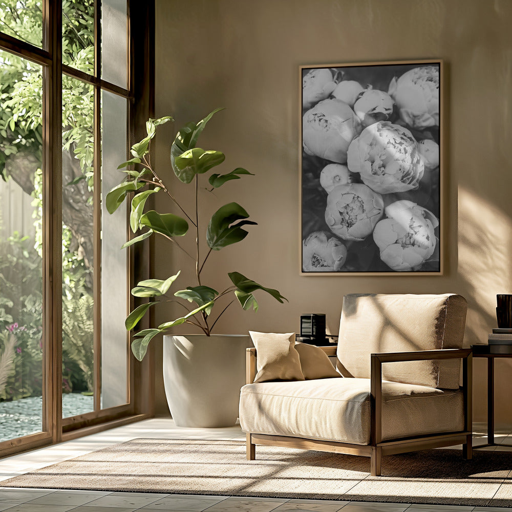 Peonies | Poster