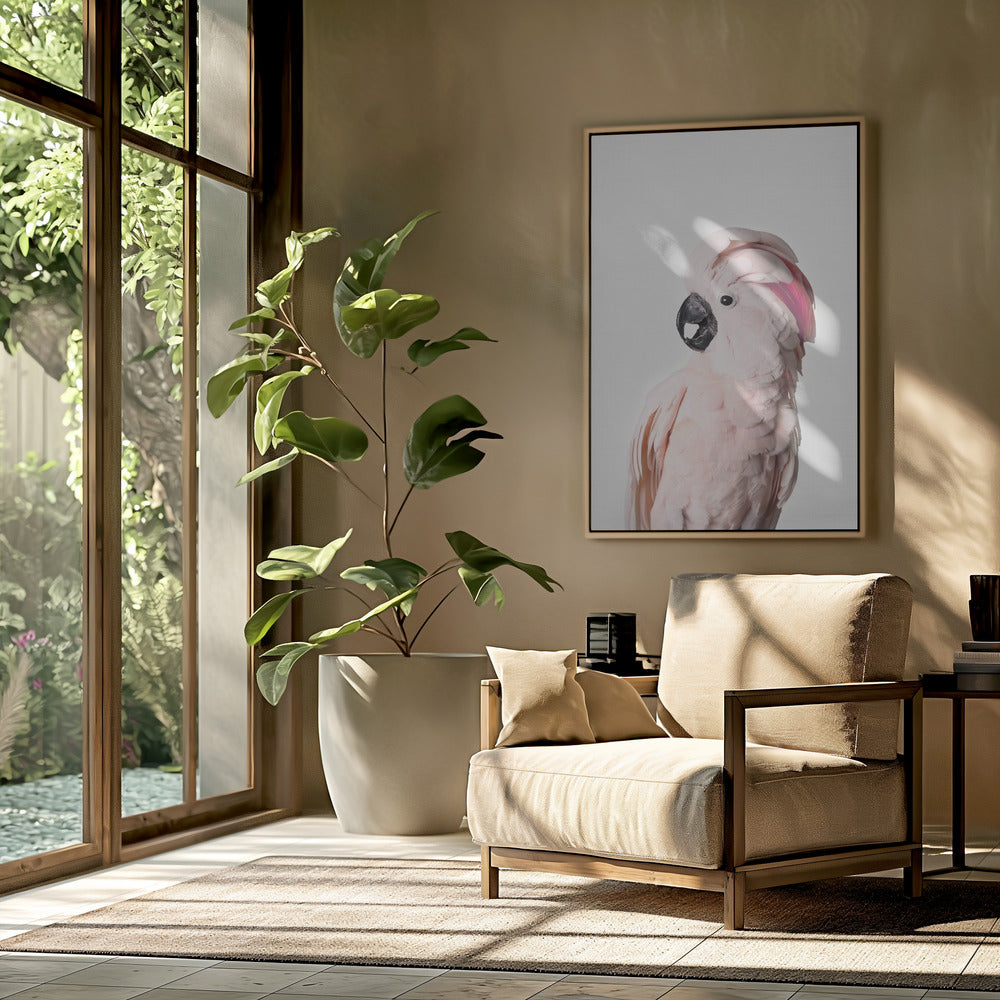 Pink Cockatoo | Poster