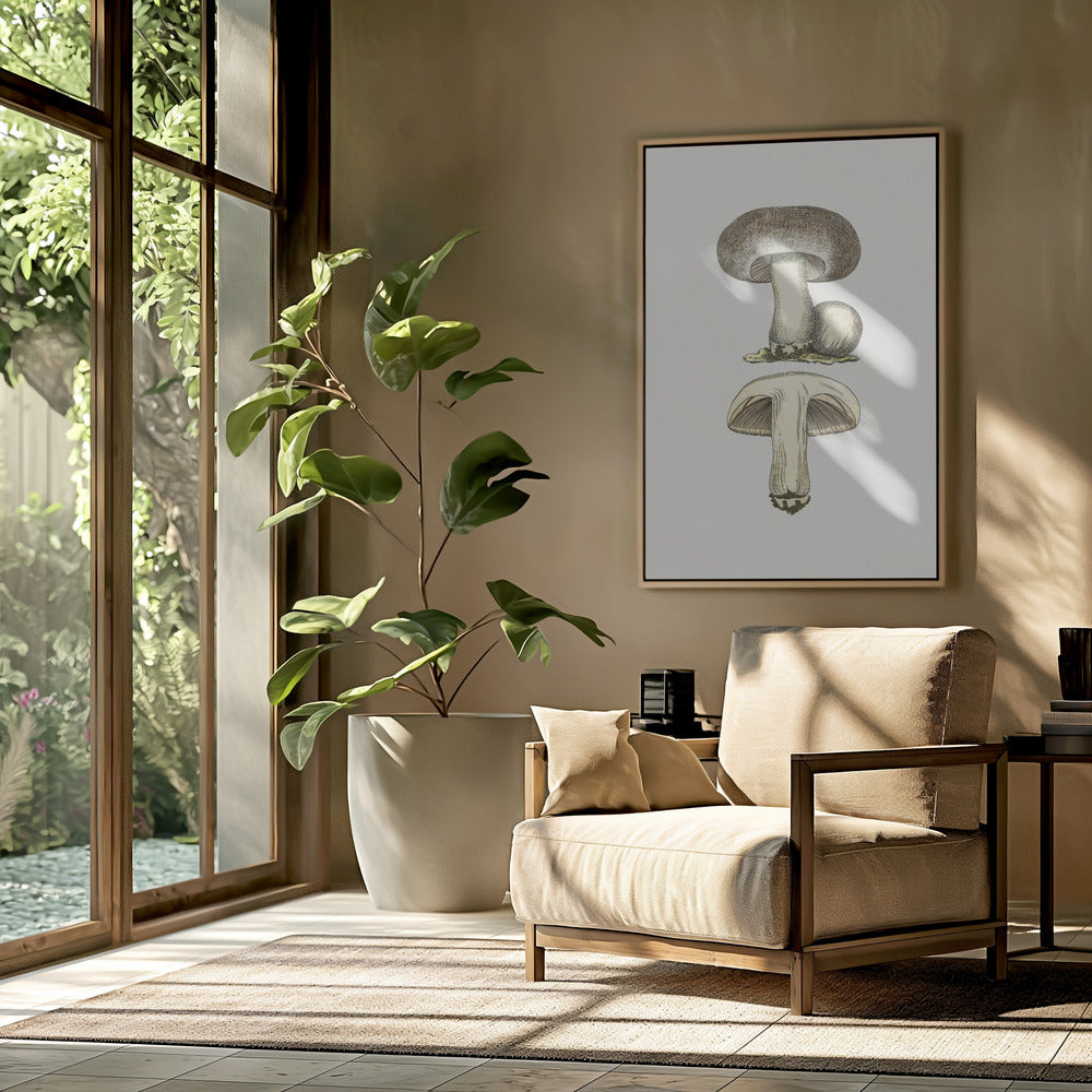 Hand Drawn Field Mushroom Gray | Poster