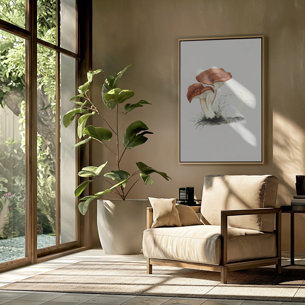 Hand Drawn Rufous Milkcap Mushroom | Poster
