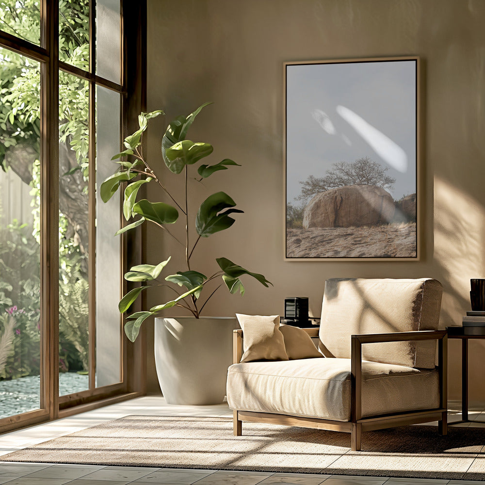 Tree on a Boulder | Poster