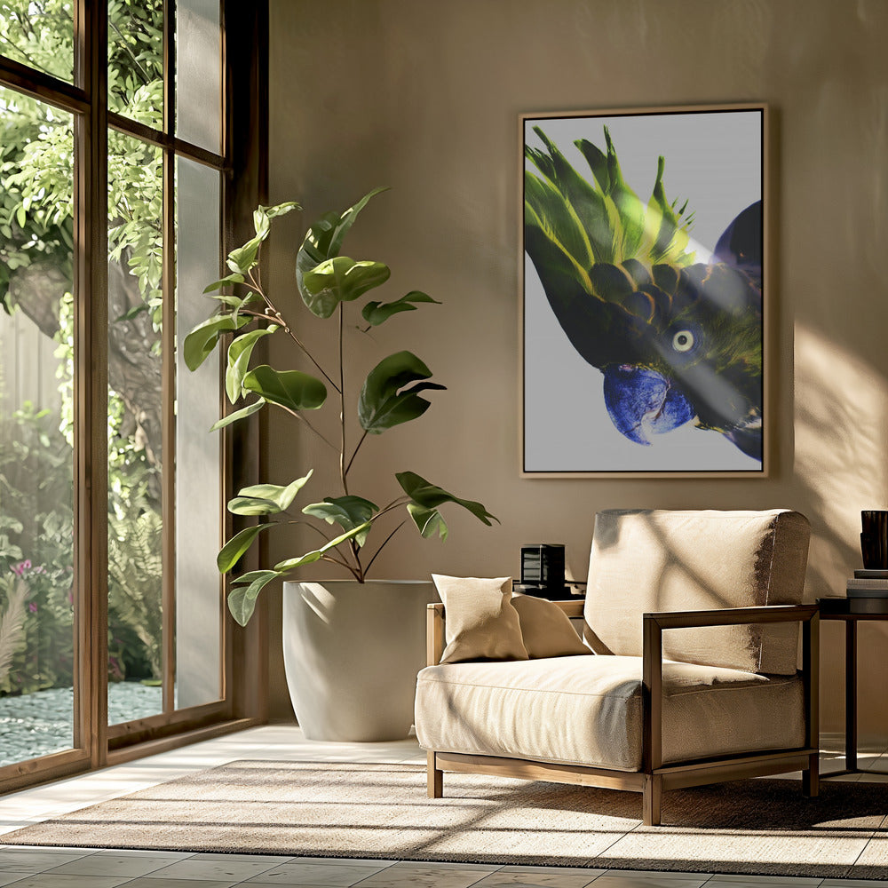 Vivid Bird Glance | Poster