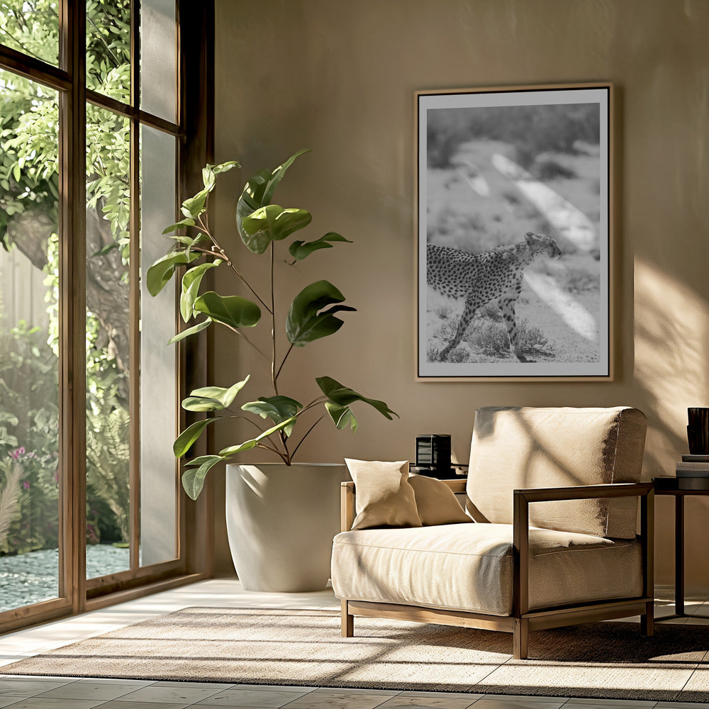 A Cheetah Walking | Poster