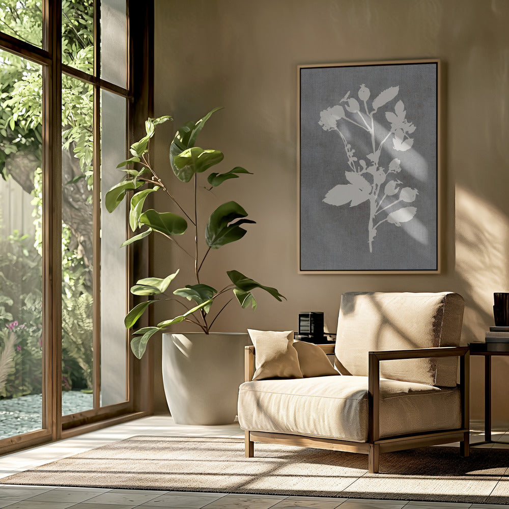 Botanical Illustration 6 | Poster