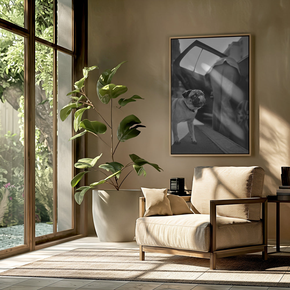 Untitled | Poster