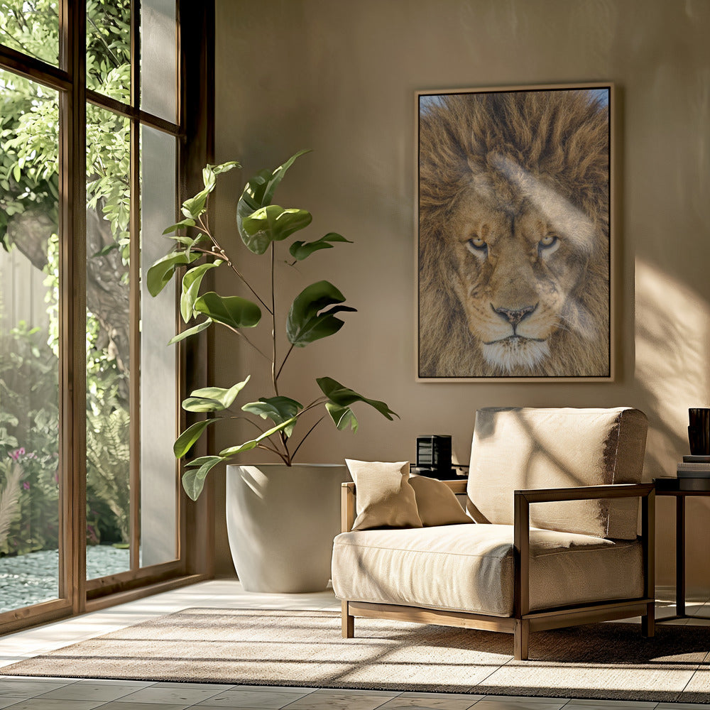 Serious Lion | Poster