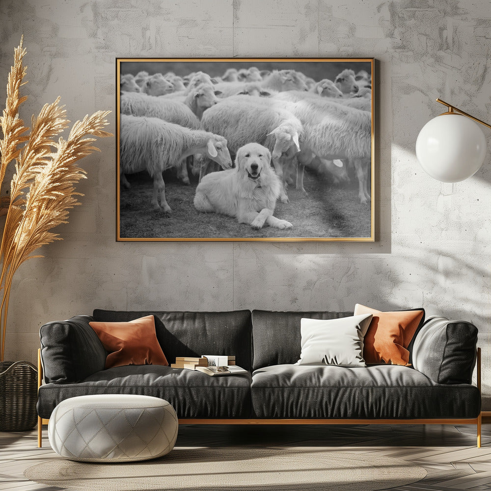 The Boss | Canvas