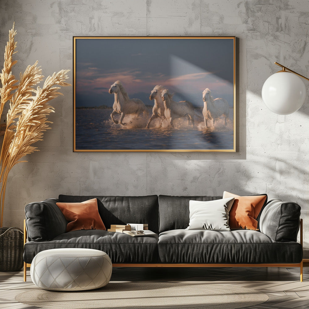 Angels of Camargue | Poster