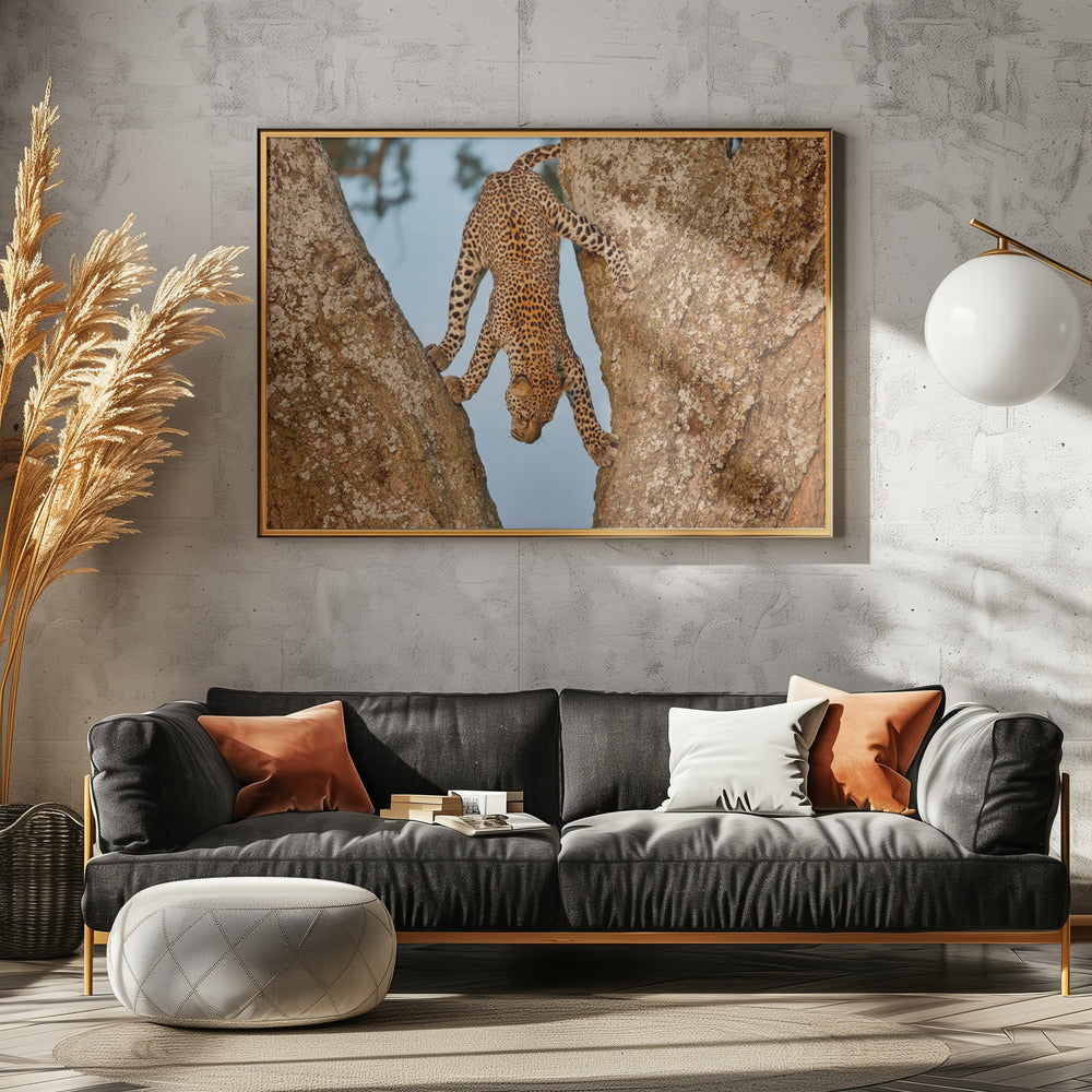 Upside Down | Canvas