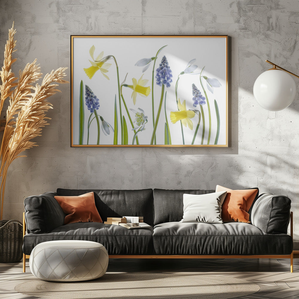 Spring | Canvas