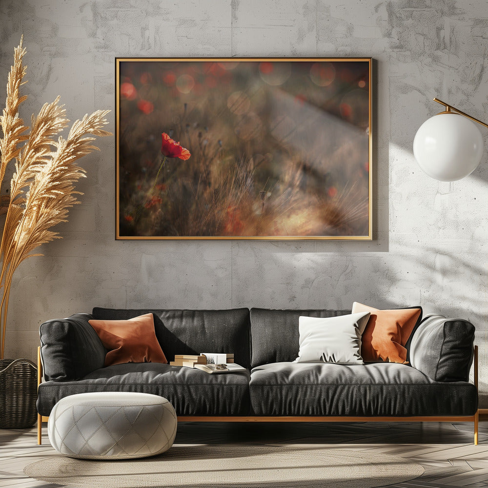 Poppy | Canvas