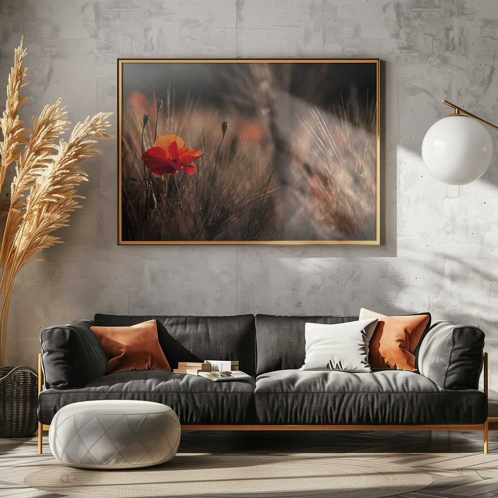 Poppy with corn | Canvas