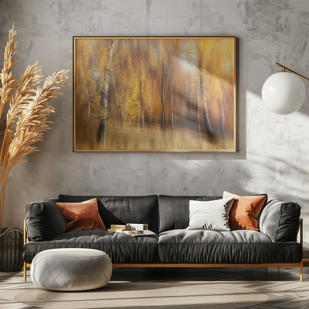 Autumn Birches | Canvas