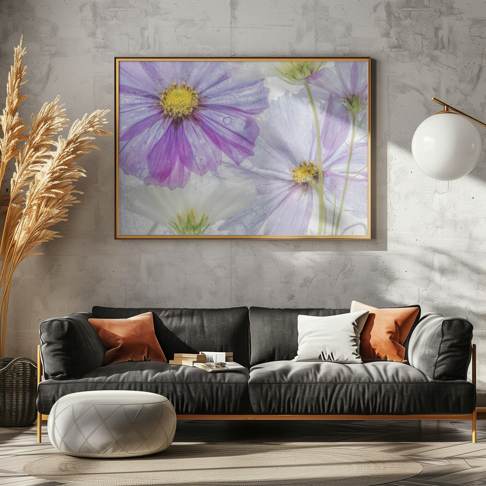 Cosmos cool | Canvas