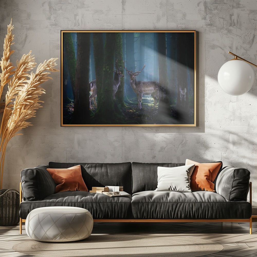 Deers | Poster