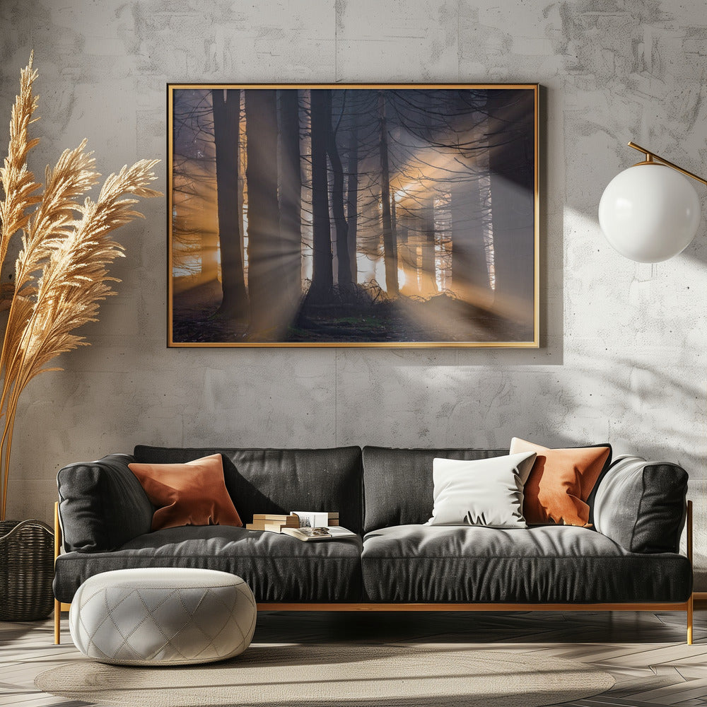 Forest | Canvas