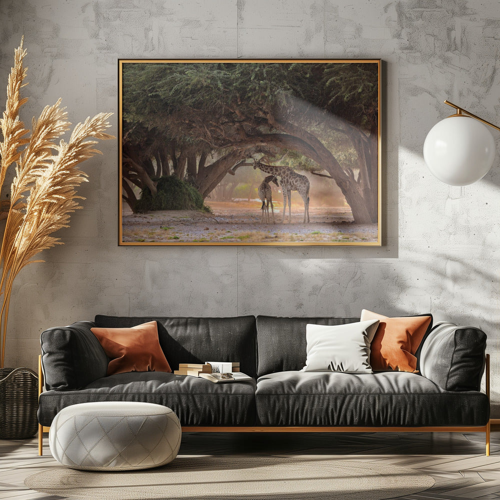 Giraffe - Namibia | Canvas