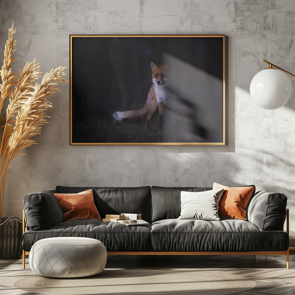 Glances | Canvas