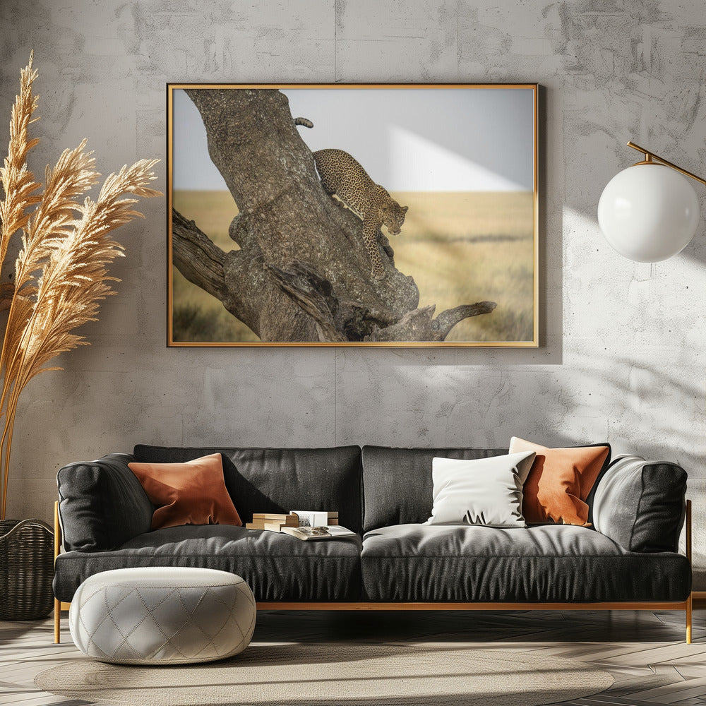 Leopard - Serengheti, Tanzania | Canvas