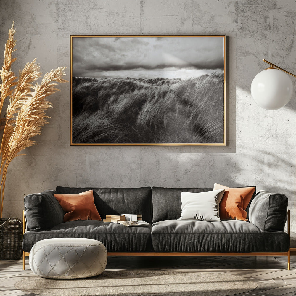 Dunes of grass | Canvas