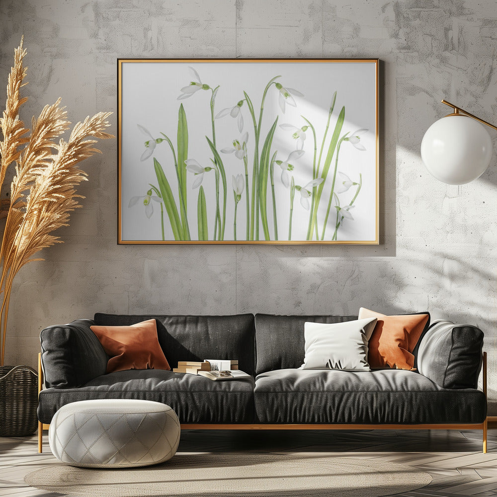 First Snowdrops | Canvas