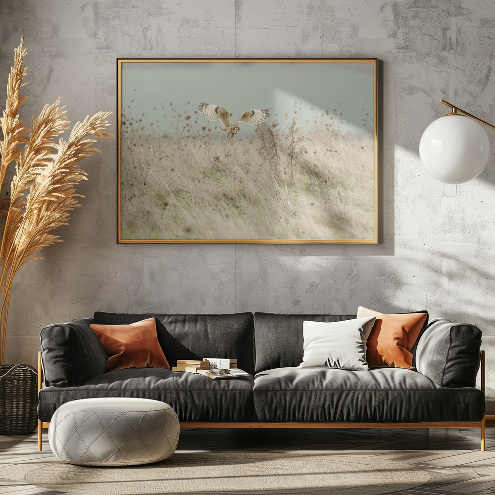 Hunting Short Eared Owl | Canvas