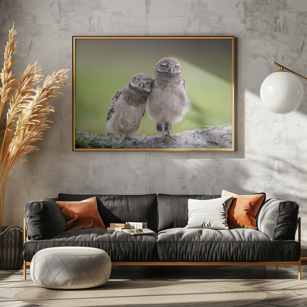 Friends | Canvas