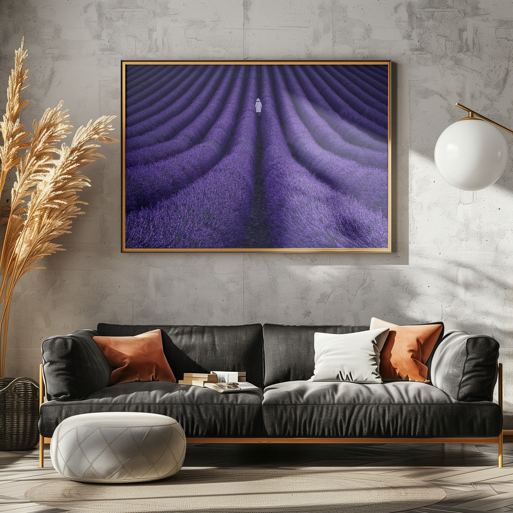 SHE | Canvas