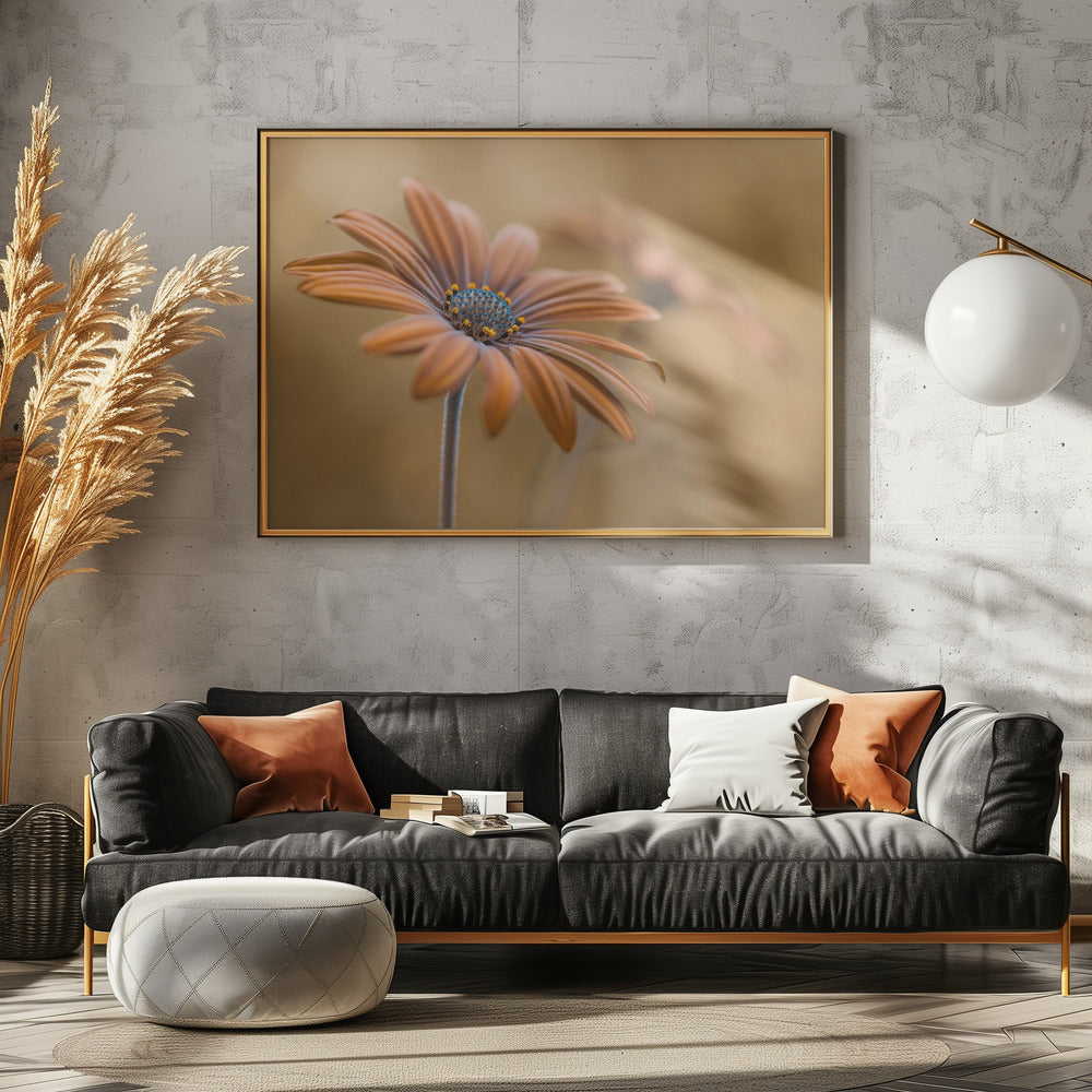 Summer glow | Canvas