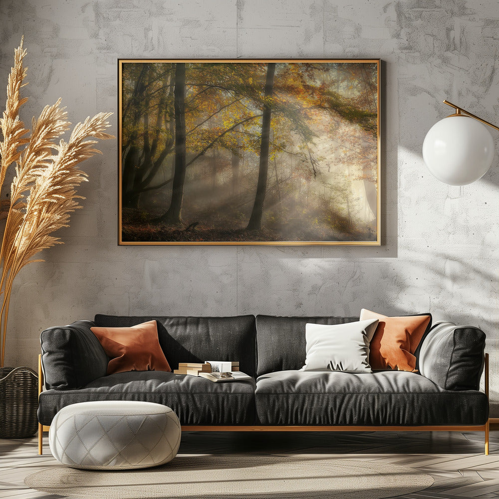 The lights of the forest | Canvas