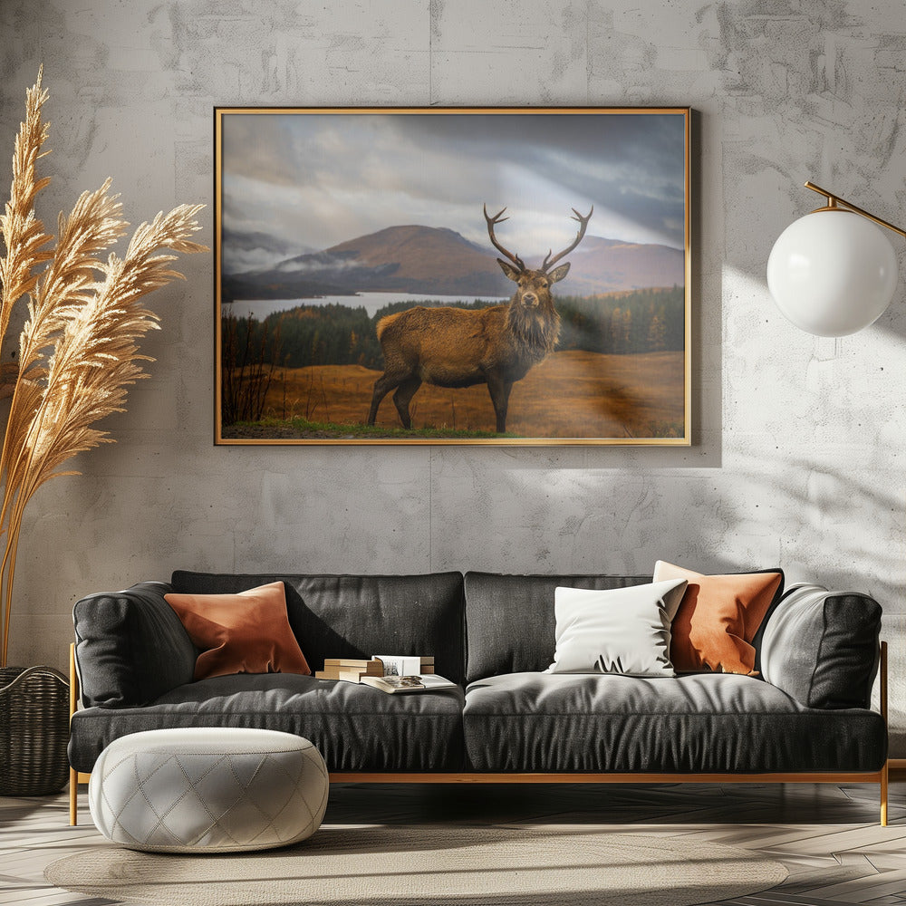 Scottish Stag | Canvas