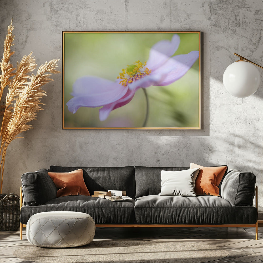 Japanese Anemone | Canvas