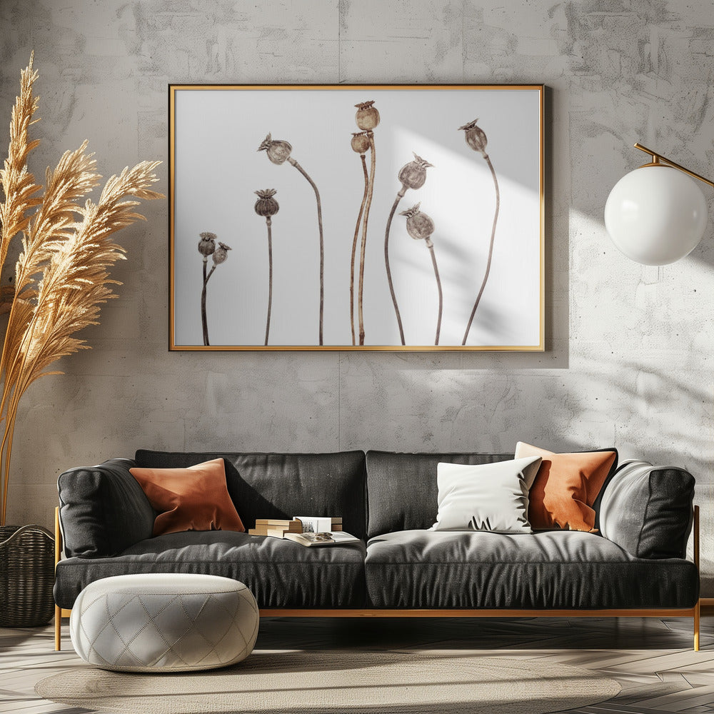 Poppies | Poster