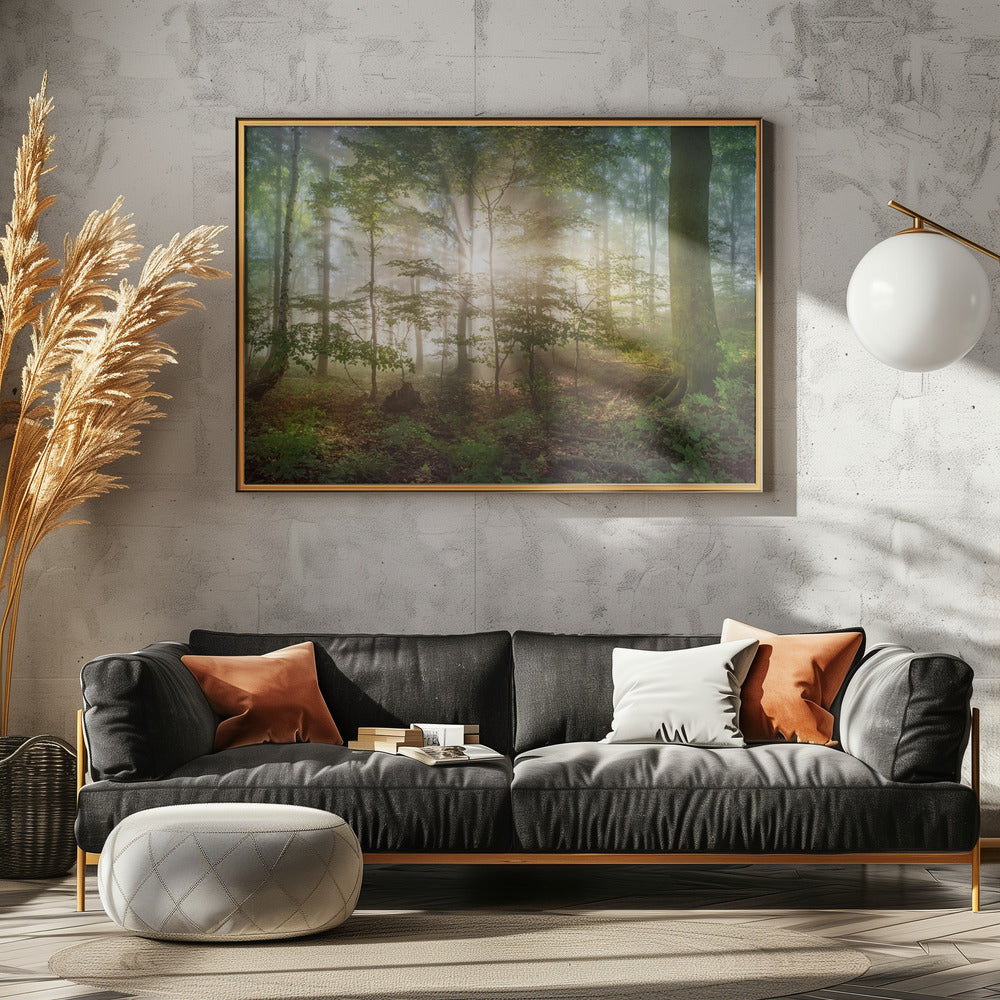 morning sun | Poster